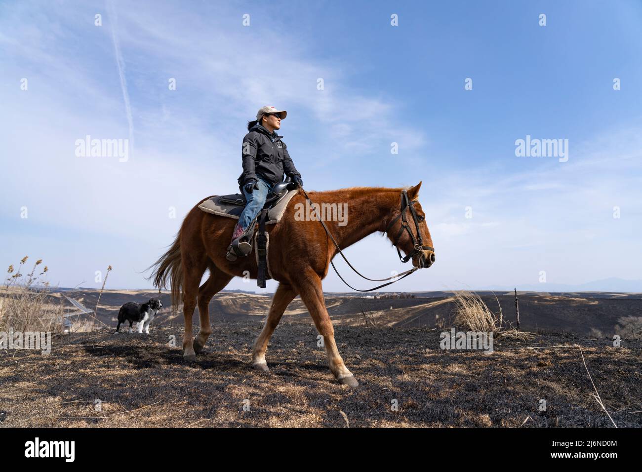 El patio Ranch, Frontier Horses, Aso, Kumamoto Kyushu, Giappone Foto Stock