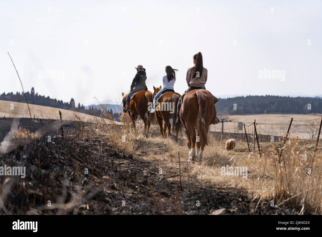 El patio Ranch, Frontier Horses, Aso, Kumamoto Kyushu, Giappone Foto Stock