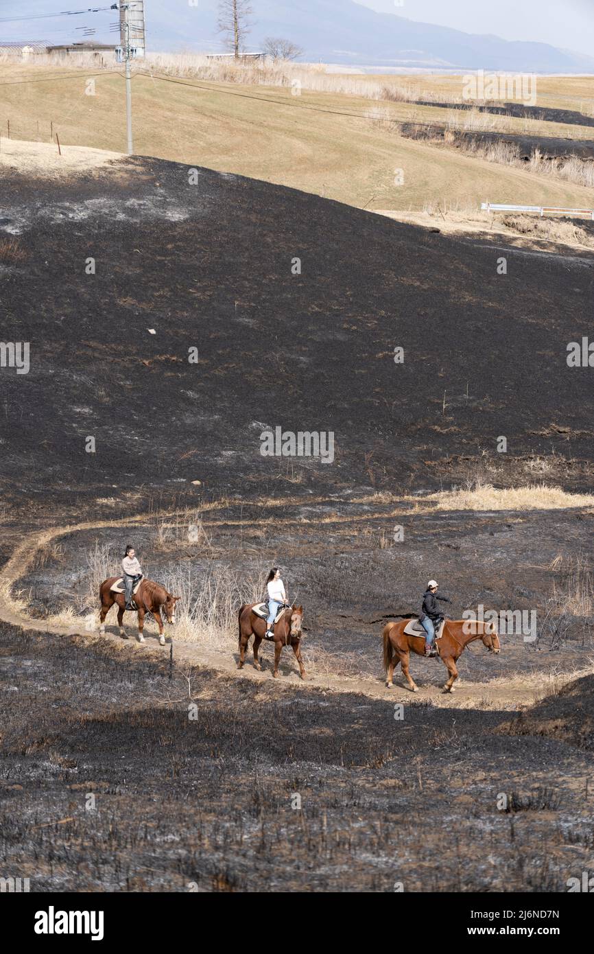 El patio Ranch, Frontier Horses, Aso, Kumamoto Kyushu, Giappone Foto Stock