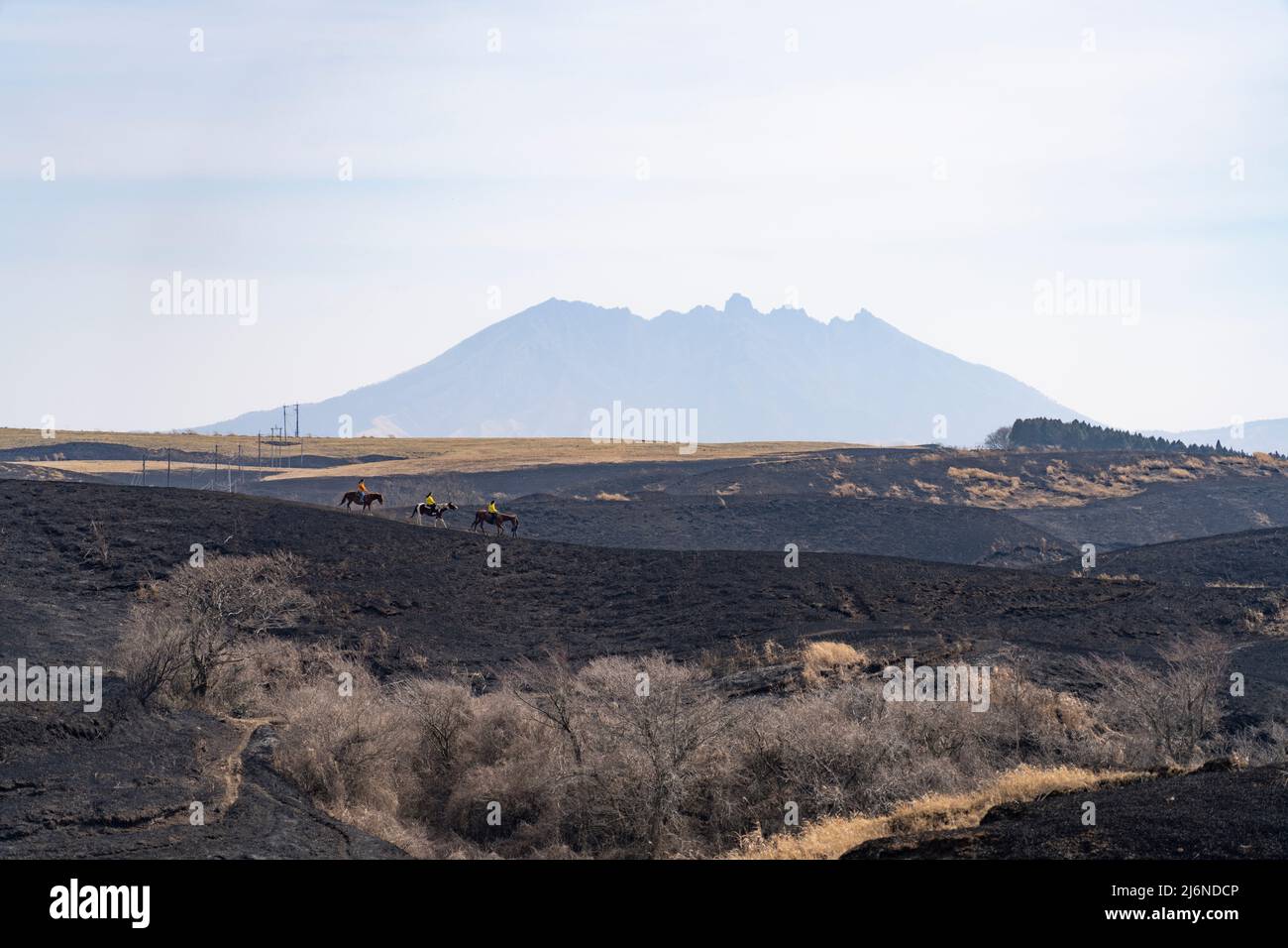 El patio Ranch, Frontier Horses, Aso, Kumamoto Kyushu, Giappone Foto Stock
