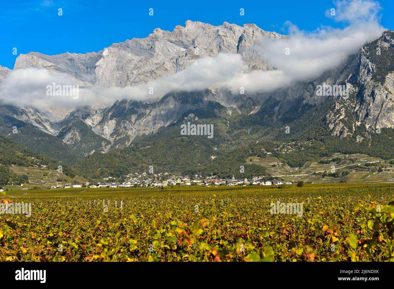 Regione vinicola di Chamoson di fronte alle scogliere della vetta del Haut de Cry, Chamoson, Vallese, Svizzera Foto Stock