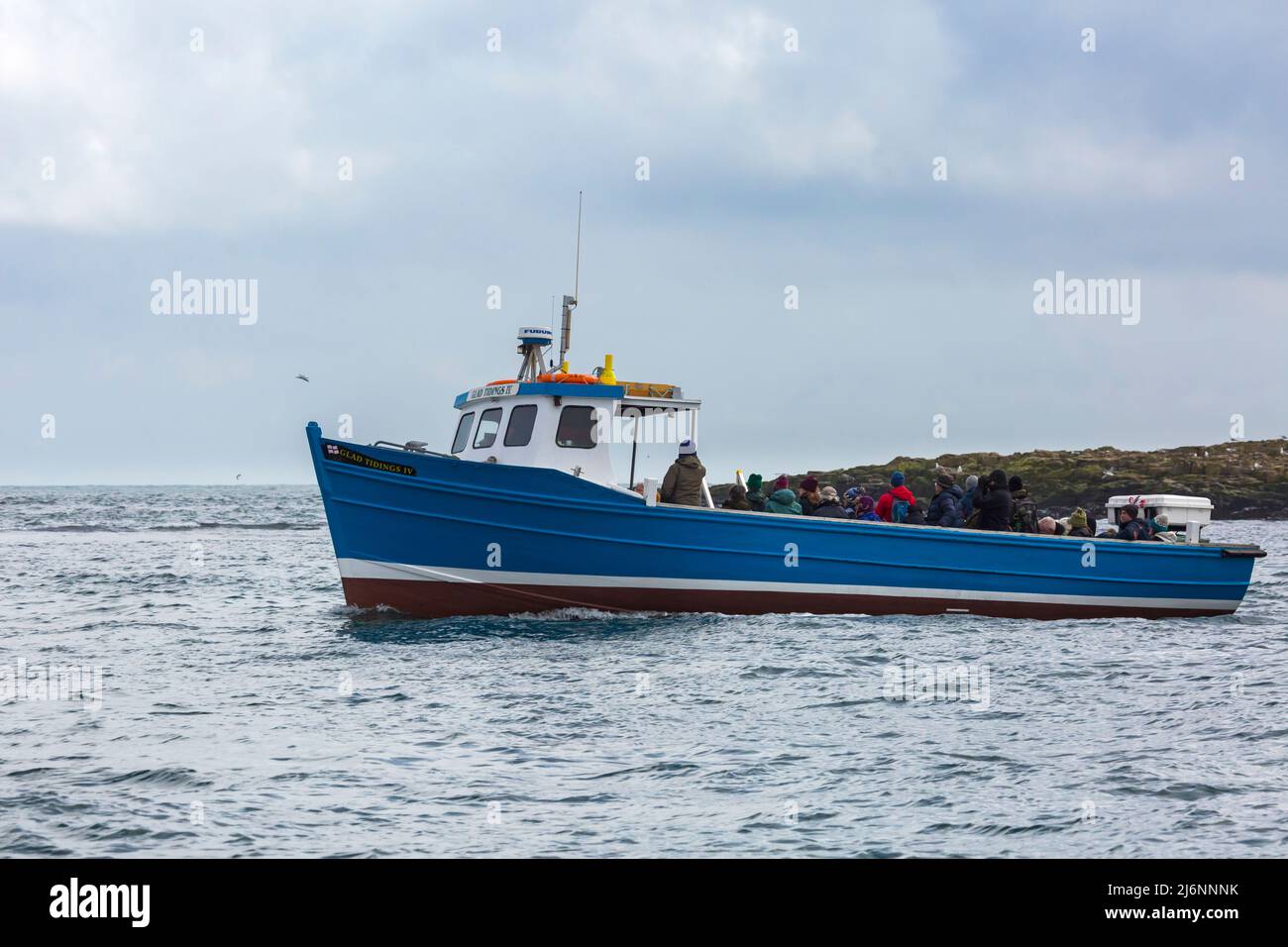 I turisti possono fare un giro in barca intorno alle Isole Farne a bordo di un traghetto felice novelle IV per vedere gli uccelli e le foche a Northumberland, Regno Unito nel mese di aprile Foto Stock