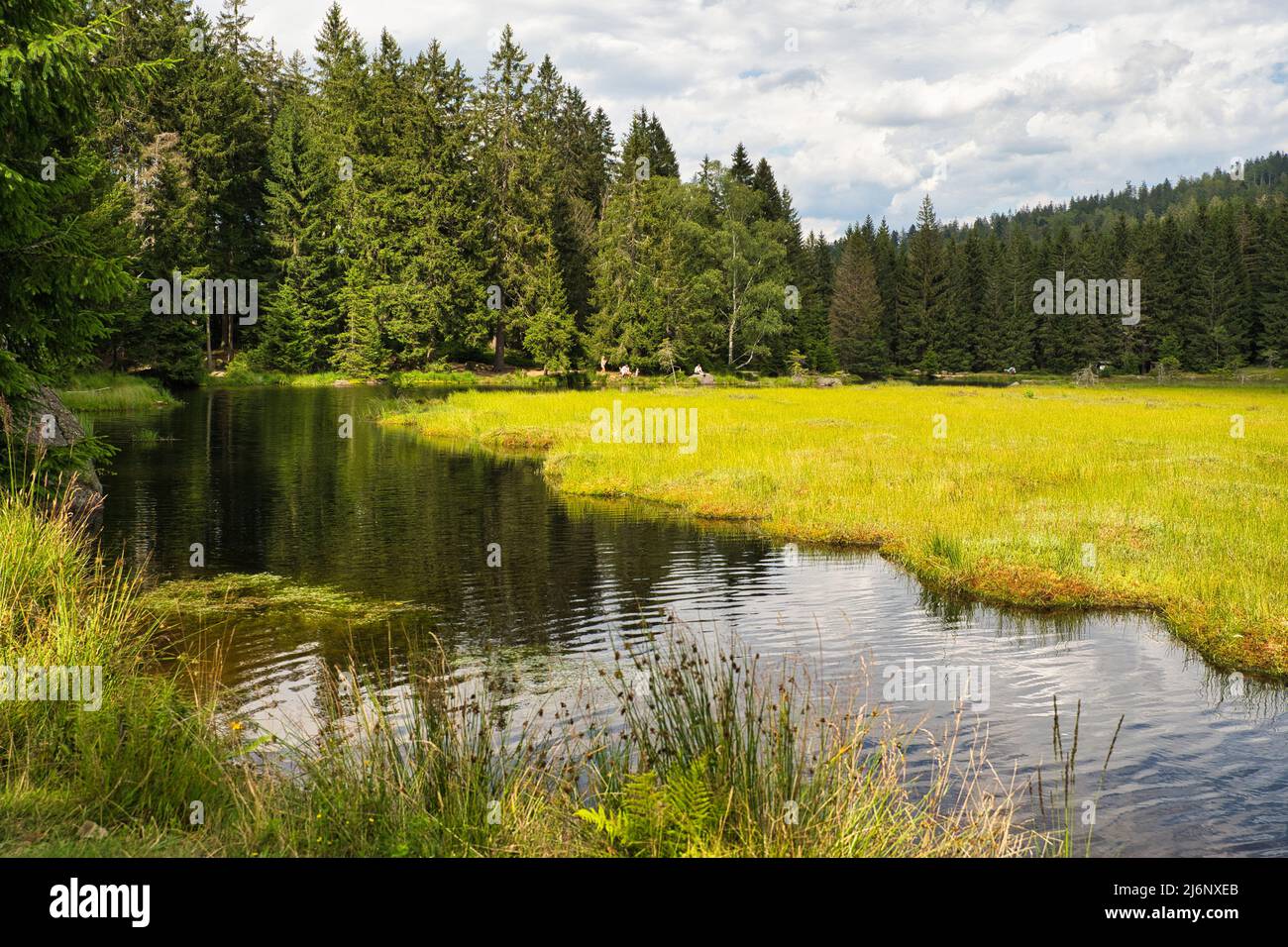 Bellissimo lago Kleiner Arbersee con le sue isole balneari nella Foresta Bavarese, Palatinato superiore, Baviera, Germania. Alcune persone in background. Foto Stock