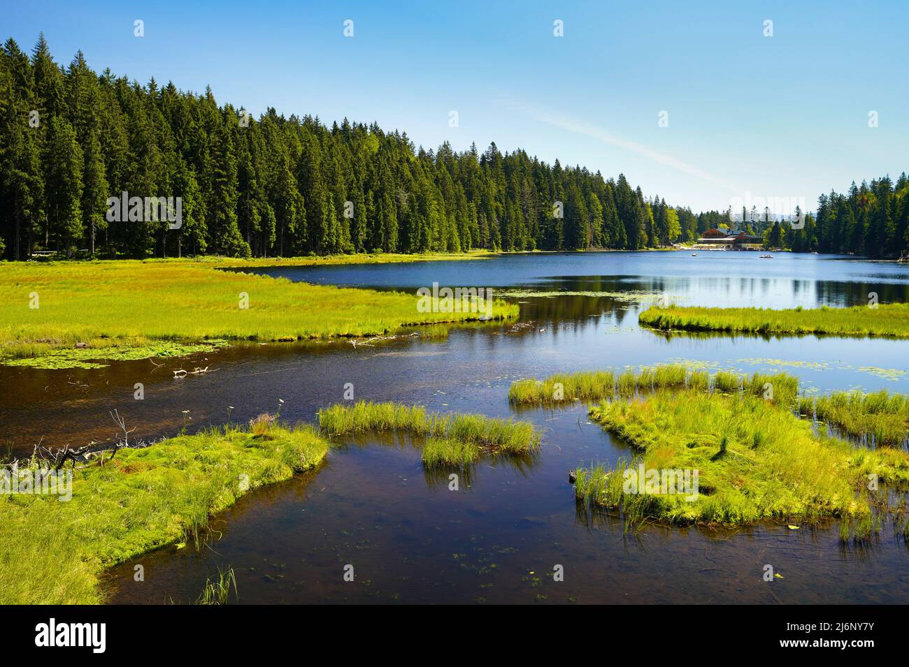 Bellissimo lago Großer Arbersee con le sue isole balneari nella Foresta Bavarese. Palatinato superiore, Baviera, Germania. Foto Stock