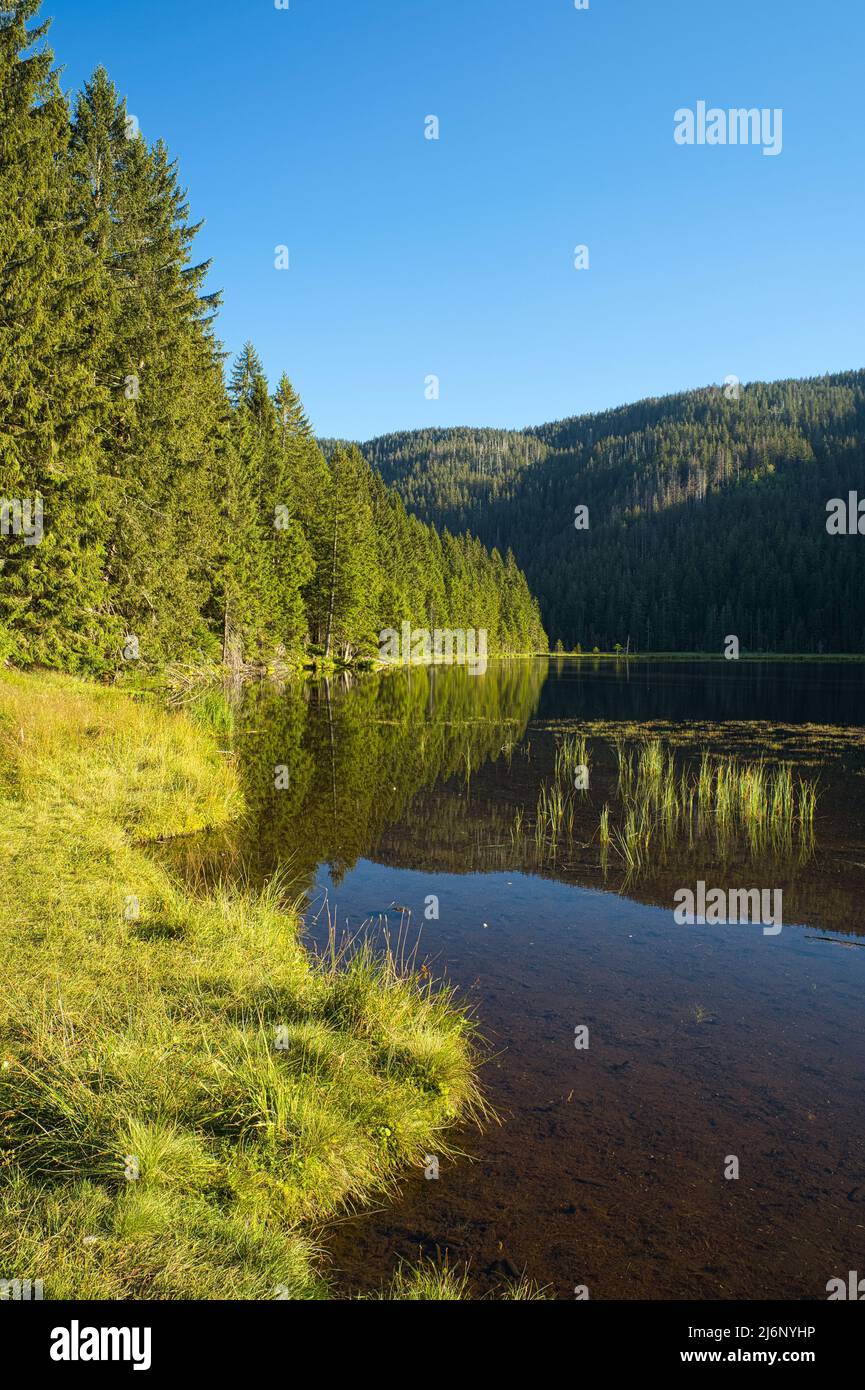 Bellissimo lago Kleiner Arbersee con le sue isole balneari nella Foresta Bavarese, Palatinato superiore, Baviera, Germania. Foto Stock