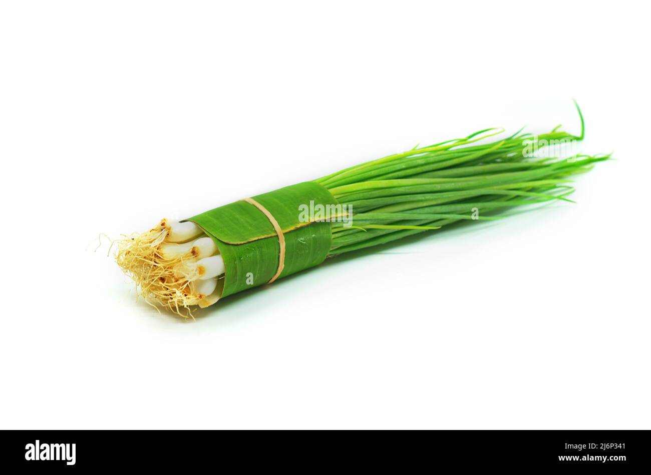 Confezione isolata di cipolline fresche o di scallioni su fondo bianco, confezione in vendita nel concetto di ortaggi freschi biologici, utilizzando foglie di banana t Foto Stock