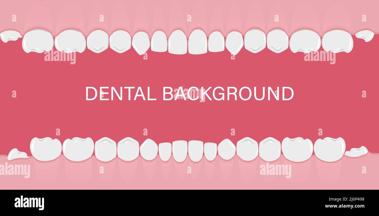 Sfondo con denti in fila. Denti umani nella gengiva. Background per dentisti, ortodontisti. Modello con uno spazio vuoto per il testo. Una ba di stile piatto Illustrazione Vettoriale
