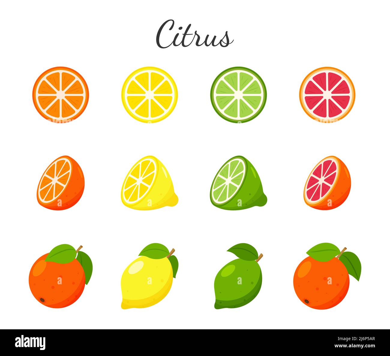 Set di icone di frutta e agrumi. Arancio, pompelmo, lime e limone. Frutta intera, mezzo taglio e fette. Collezione in un design piatto. Illustrazione del vettore di colore Illustrazione Vettoriale