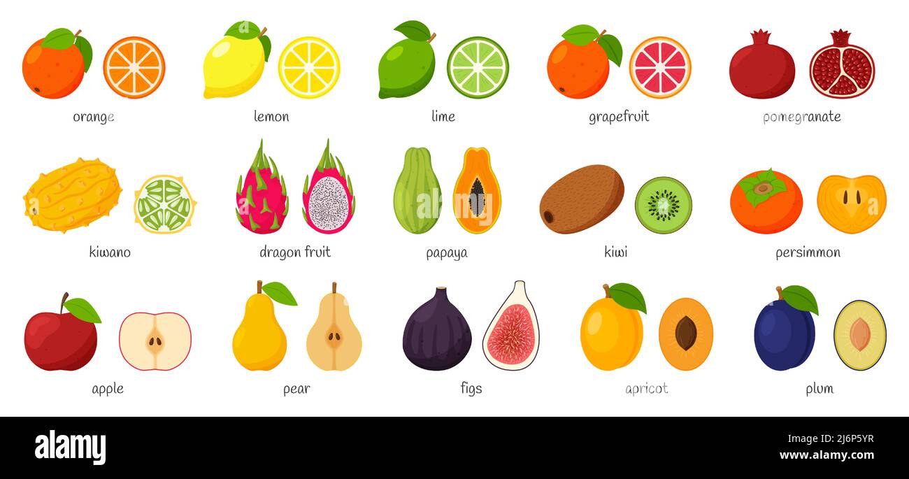 Grande collezione di agrumi tropicali ed esotici con nomi. Set di frutta tagliata. Paia di frutta, intera e tagliata a metà. Illustrazione vettoriale piatta Illustrazione Vettoriale