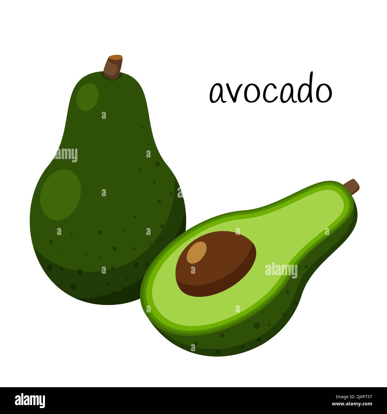 Avocado maturo. Intero, mezzo con un seme. Vegetale, ingrediente, l'elemento di disegno di confezionamento per alimenti, ricette, menu. Isolato su sfondo bianco Illustrazione Vettoriale