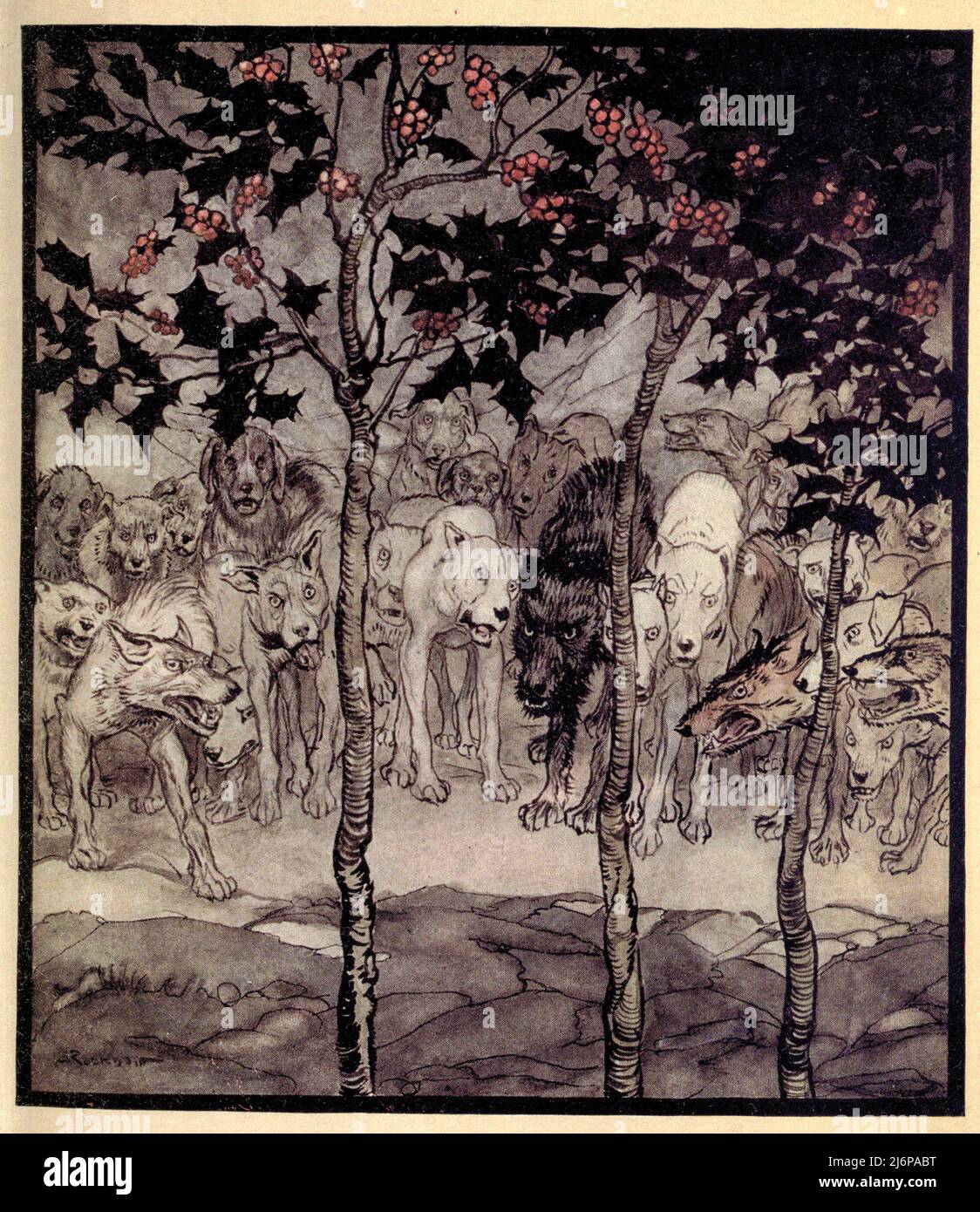 Si sono levati fuori, pieni di selvaggia e terrore dalla storia INCANTATA GROTTA DI CESH CORRAN dal libro ' fiabe irlandesi ' di James Stephens, illustrato da Arthur Rackham Editore la Macmillan società Londra 1920 Foto Stock