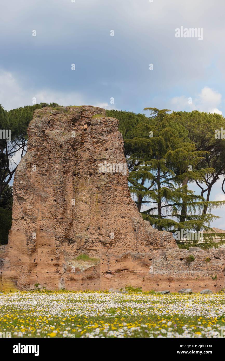 Rovine romane sul Colle Palatino circondate da natura, alberi e fiori vicino al Colosseo a Roma Foto Stock