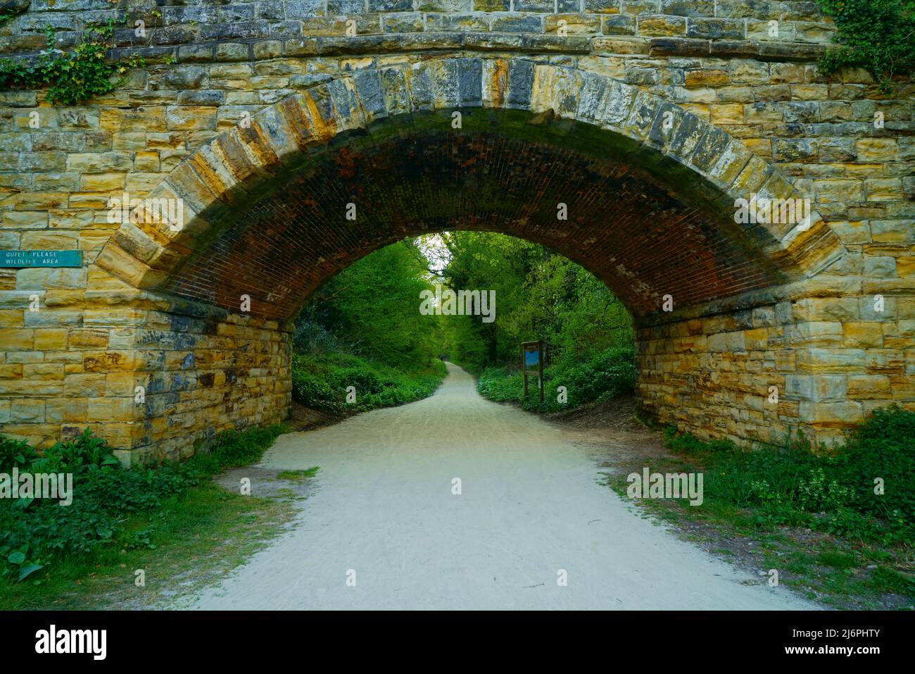 Un ponte che attraversa il parco forestale vicino Hartfield East Sussex. Foto Stock