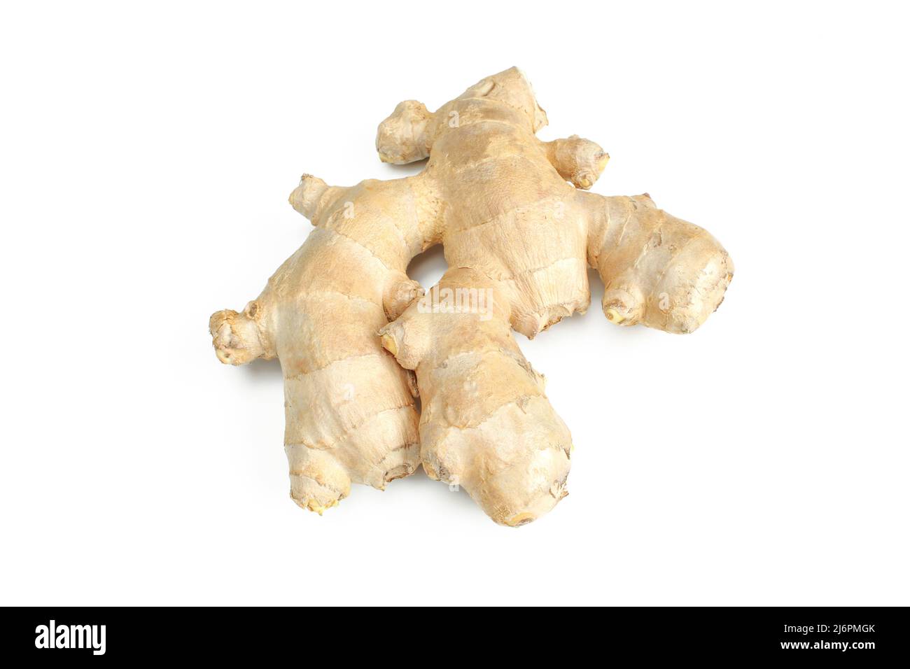 Pianta di zenzero grezzo naturale isolata su sfondo bianco Foto Stock