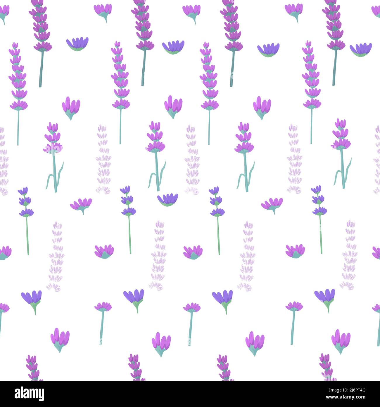 Acquerello trasparente con lavanda. Modello senza cuciture con fiori. Motivo floreale. Bellissimi fiori Illustrazione Vettoriale