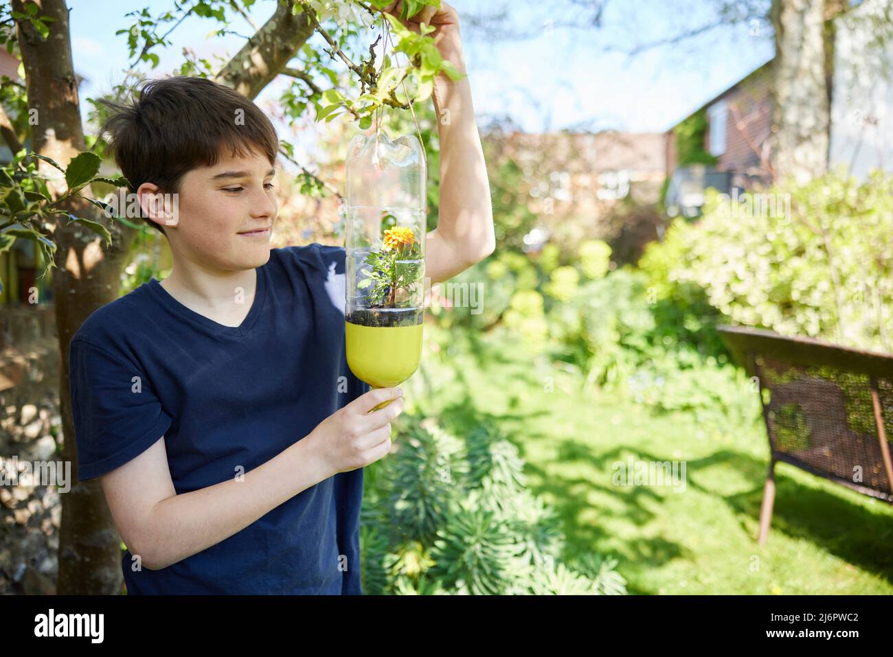 Teenage Boy che fa il supporto di pianta riciclato dai rifiuti della bottiglia di plastica in giardino a casa Foto Stock