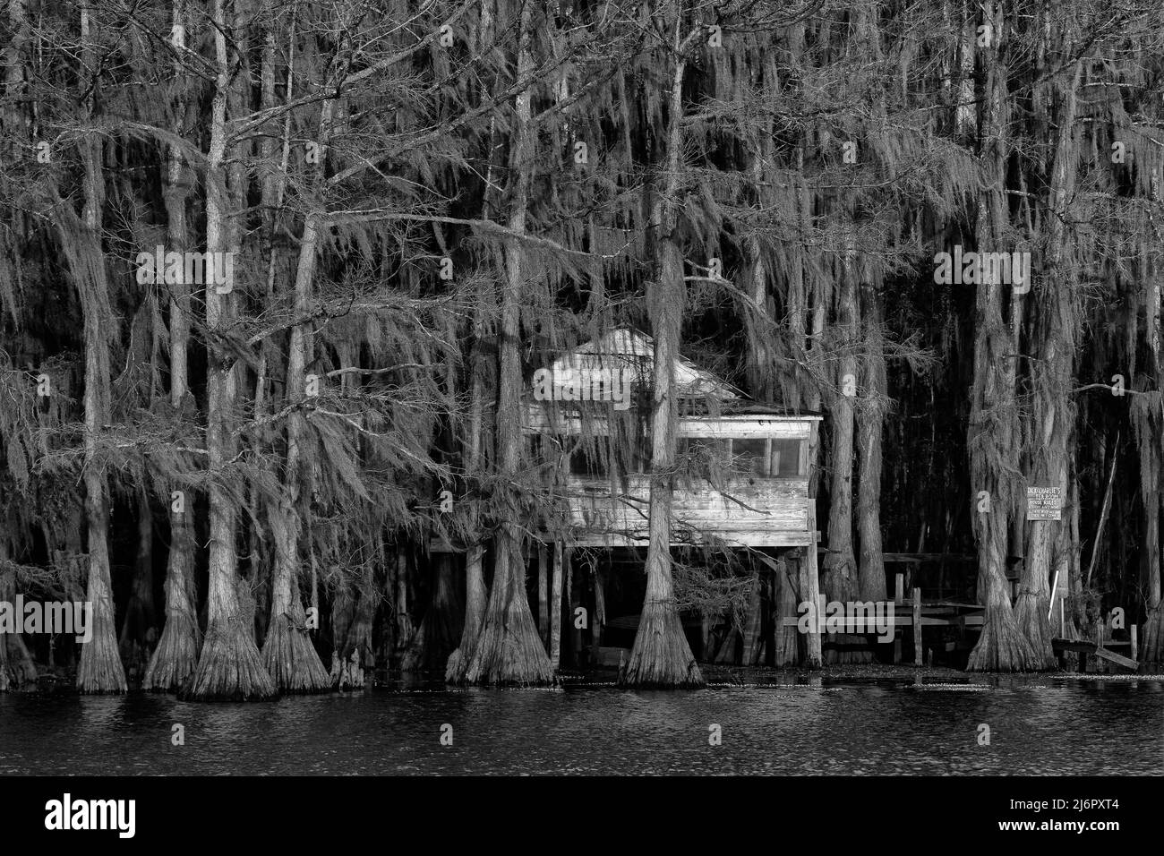 USA, Texas, lago Caddo, capanna di palude Foto Stock