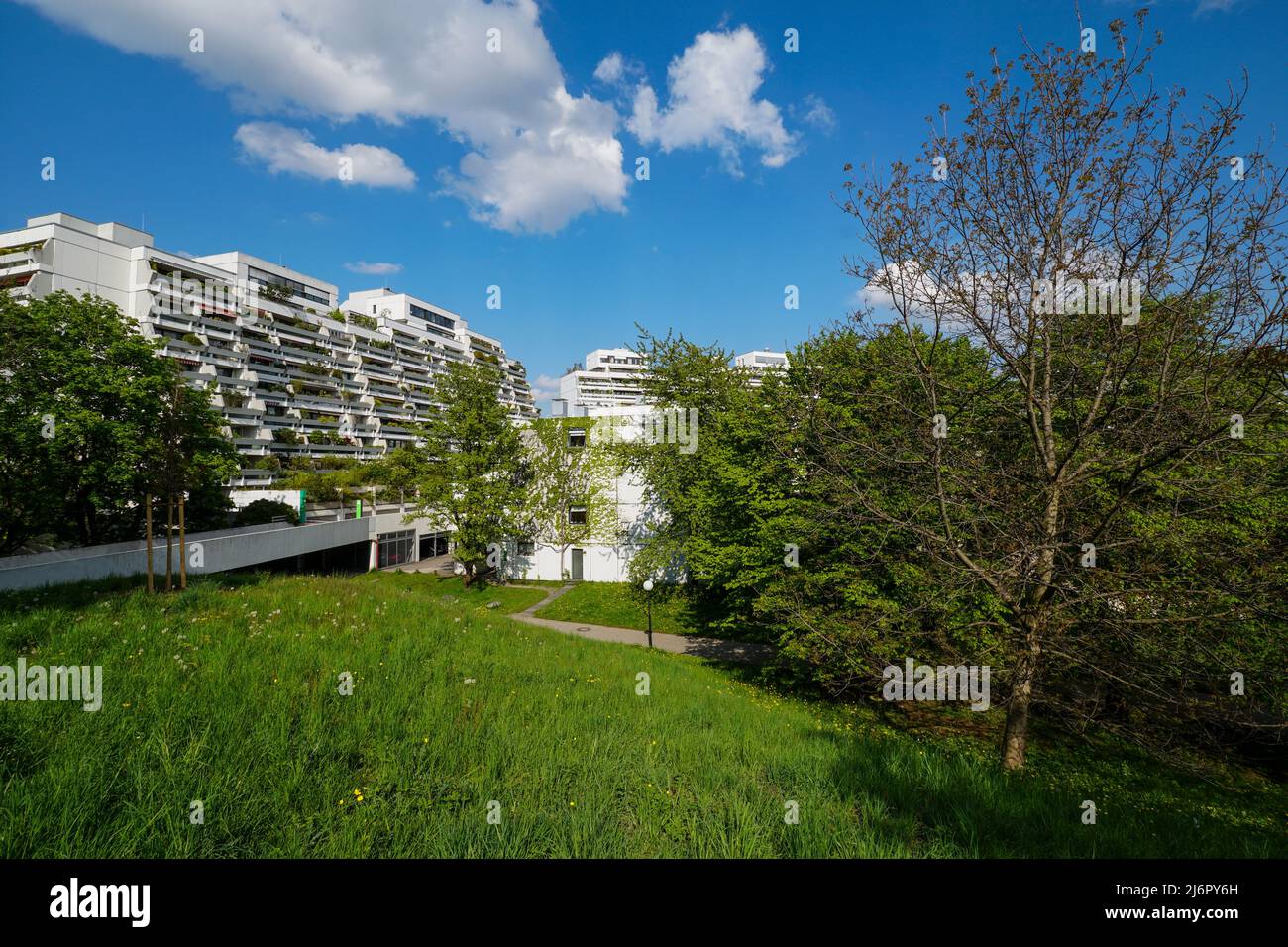 Begrünte Terrassenhäuser im Olympiadorf a München Foto Stock