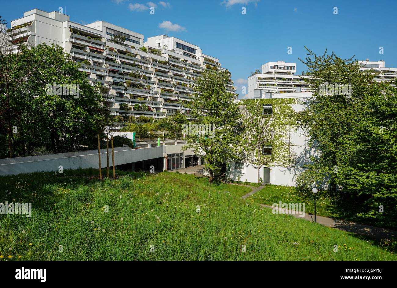 Begrünte Terrassenhäuser im Olympiadorf a München Foto Stock