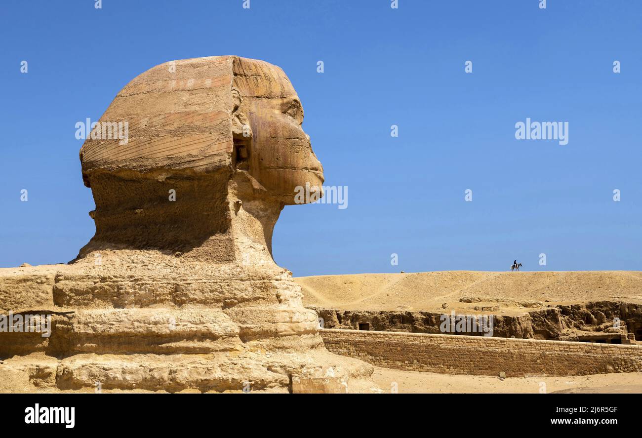 Grande Sfinge di Giza in Egitto Foto Stock
