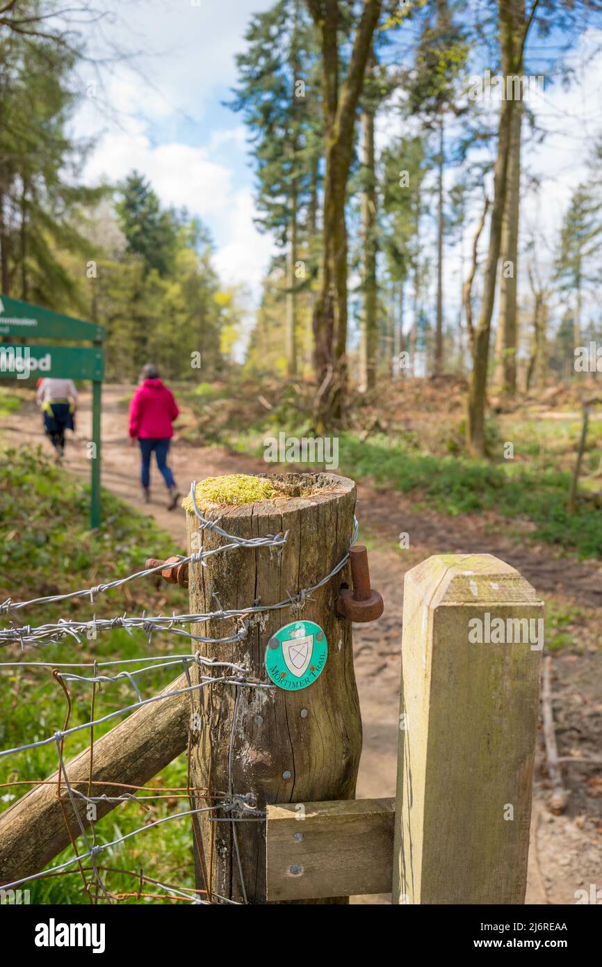 Camminatori che camminano lungo il Mortimer Trail, un sentiero lungo tracciato e camminano nelle contee di Shropshire e Herefordshire in Inghilterra. Foto Stock