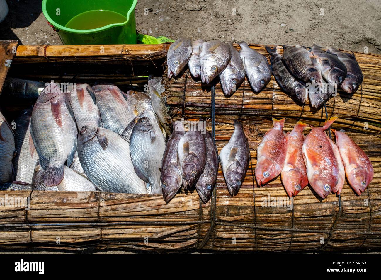 Pesce appena pescato in vendita su un Caballito de Totoro (tradizionale barca a vela), Spiaggia di Pimentel, Chiclayo, Provincia di Chiclayo, Perù. Foto Stock