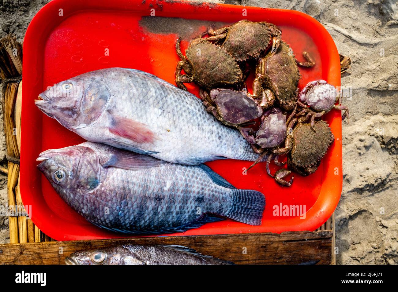 Pesce appena pescato in vendita su un Caballito de Totoro (tradizionale barca a vela), Spiaggia di Pimentel, Chiclayo, Provincia di Chiclayo, Perù. Foto Stock