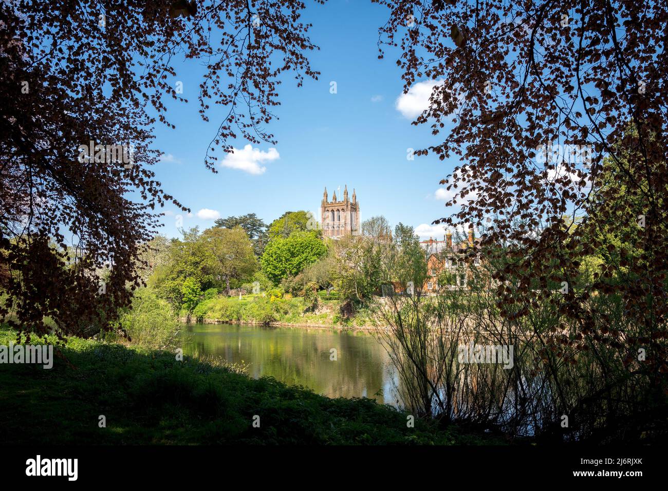 Cattedrale di Hereford dalle rive del fiume Wye, Hereford, Inghilterra, Regno Unito Foto Stock