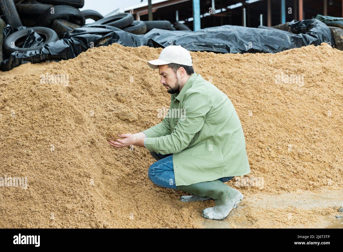 Giovane agricoltore che controlla la qualità dei birrifici ha speso i cereali in ammasso aperto Foto Stock
