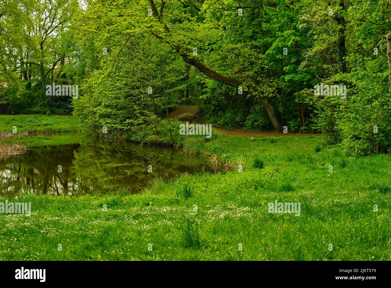 bella vista sul paesaggio di un laghetto con prato verde, alberi, e un sentiero Foto Stock