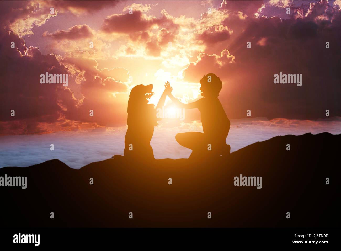 Amicizia tra un uomo e un cane sulla cima di una montagna al tramonto Foto Stock