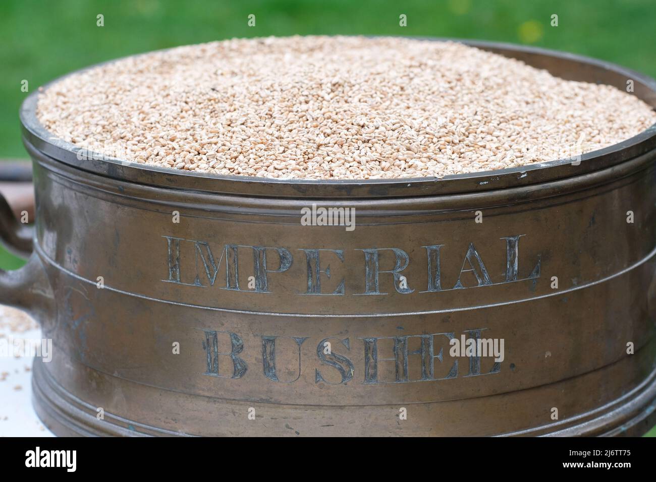 Imperial Bushel utilizzato come unità di misura qui con grano di mais visto nel Regno Unito nel 2022 Foto Stock