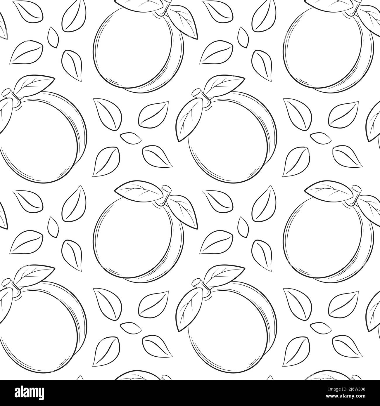 Modello senza cuciture con albicocche, pesche e foglie. Gli elementi lineari disegnati a mano in bianco e nero sono isolati su uno sfondo trasparente. Per il desig Illustrazione Vettoriale