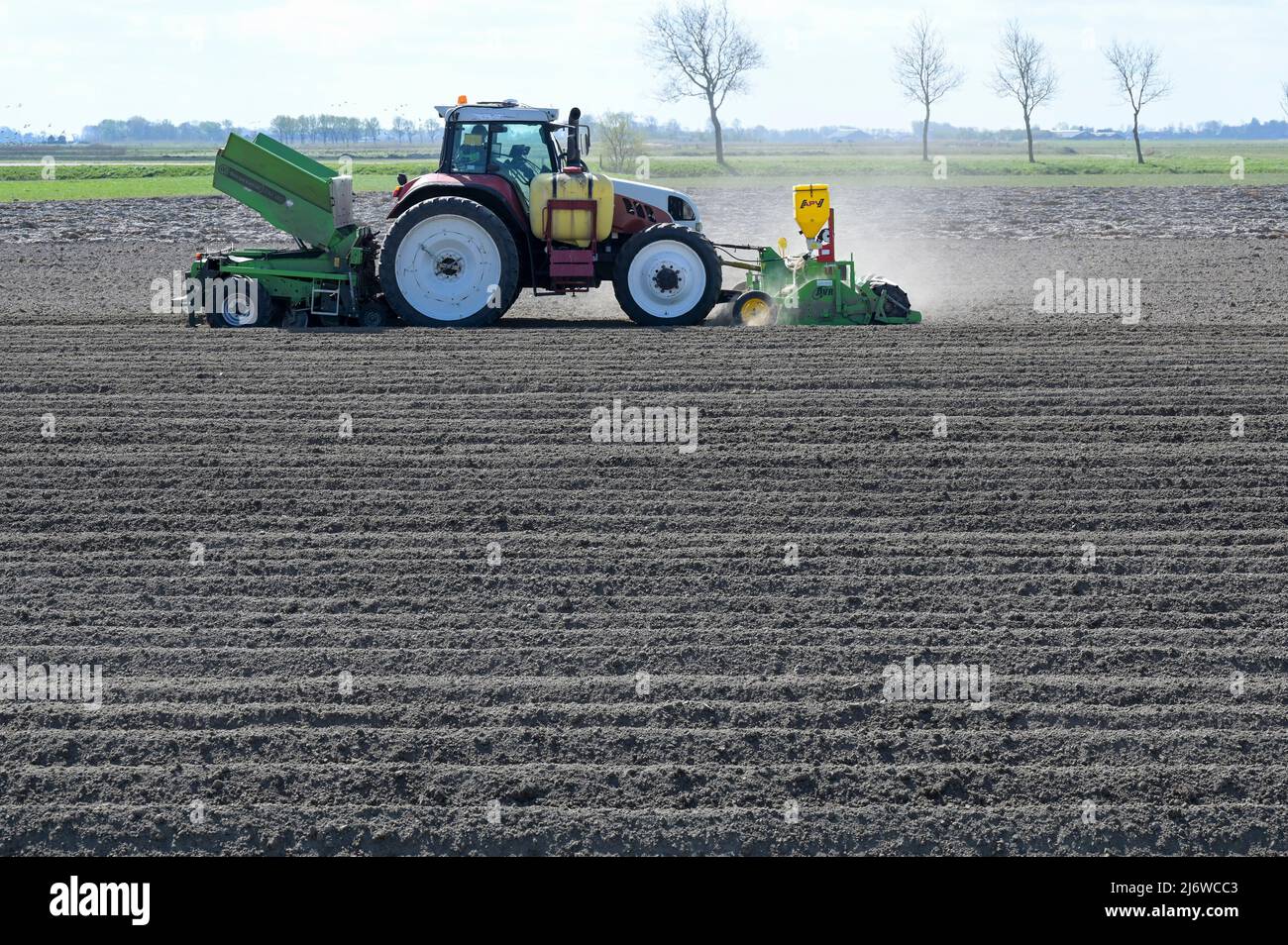 PAESI BASSI, Frisia, allevamento di patate, semina su campi asciutti / NIEDERLANDE, Friesland, Ackerbau, Kartoffel Aussaat, Dürre durch Mangel von Niederschlägen Foto Stock