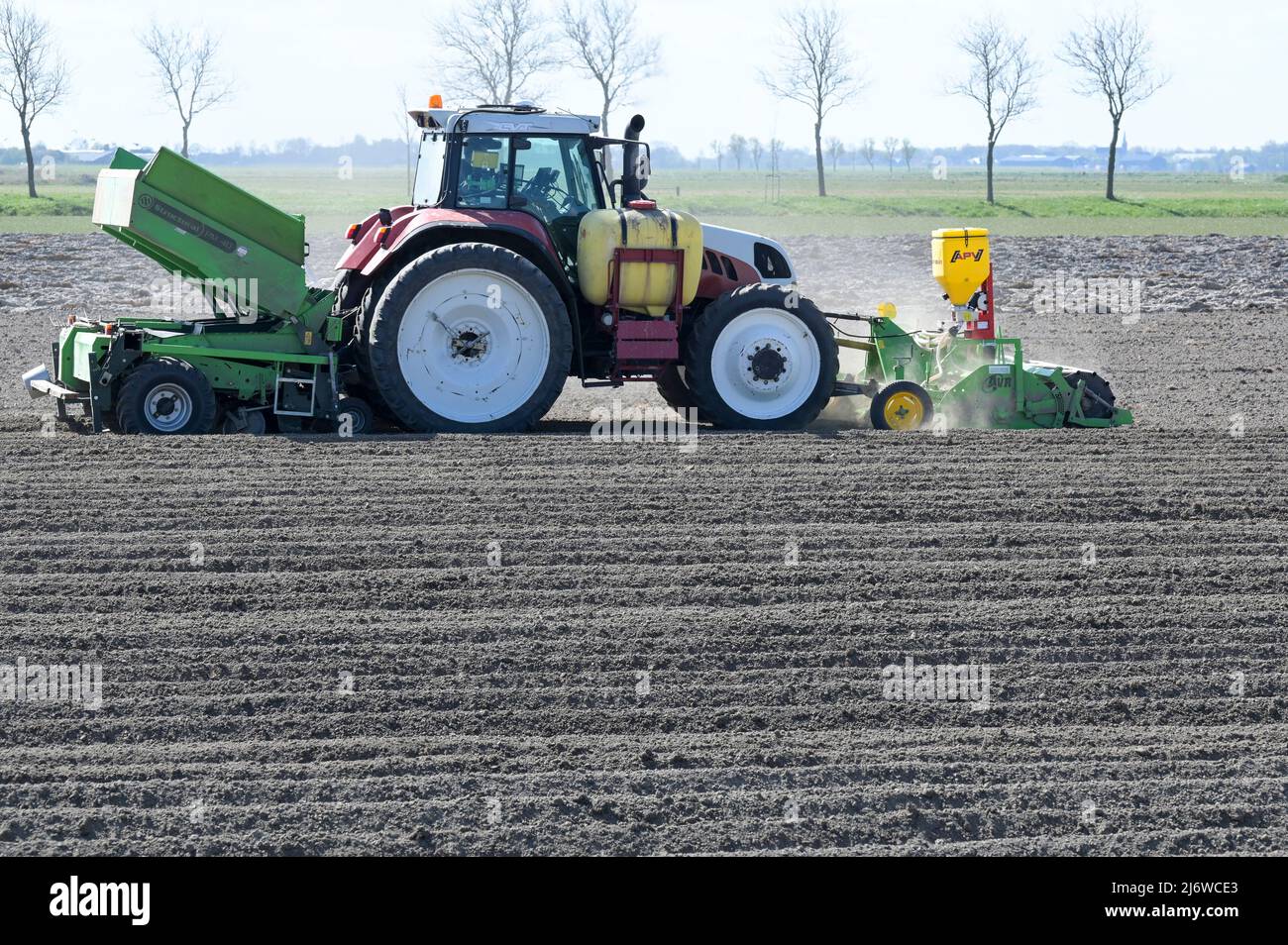 PAESI BASSI, Frisia, allevamento di patate, semina su campi asciutti / NIEDERLANDE, Friesland, Ackerbau, Kartoffel Aussaat, Dürre durch Mangel von Niederschlägen Foto Stock