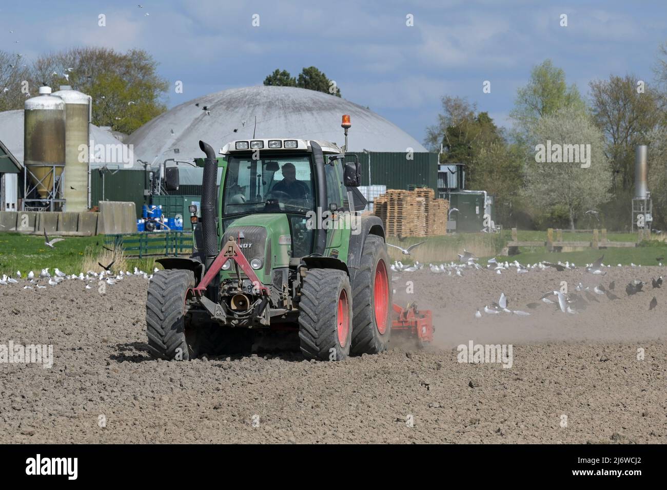 PAESI BASSI, Frisia, biogas Plant and Farming / NIEDERLANDE, Friesland, Ackerbau und Biogasanlage, Fendt Traktor bei Bodenbearbeitung Foto Stock