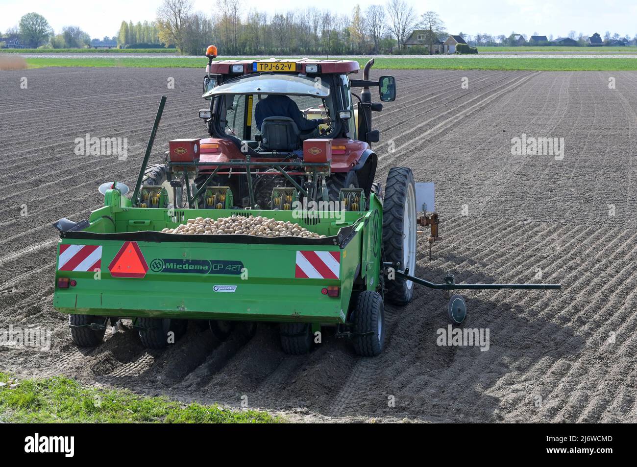PAESI BASSI, Frisia, allevamento di patate, semina su campi asciutti / NIEDERLANDE, Friesland, Ackerbau, Kartoffel Aussaat, Dürre durch Mangel von Niederschlägen Foto Stock