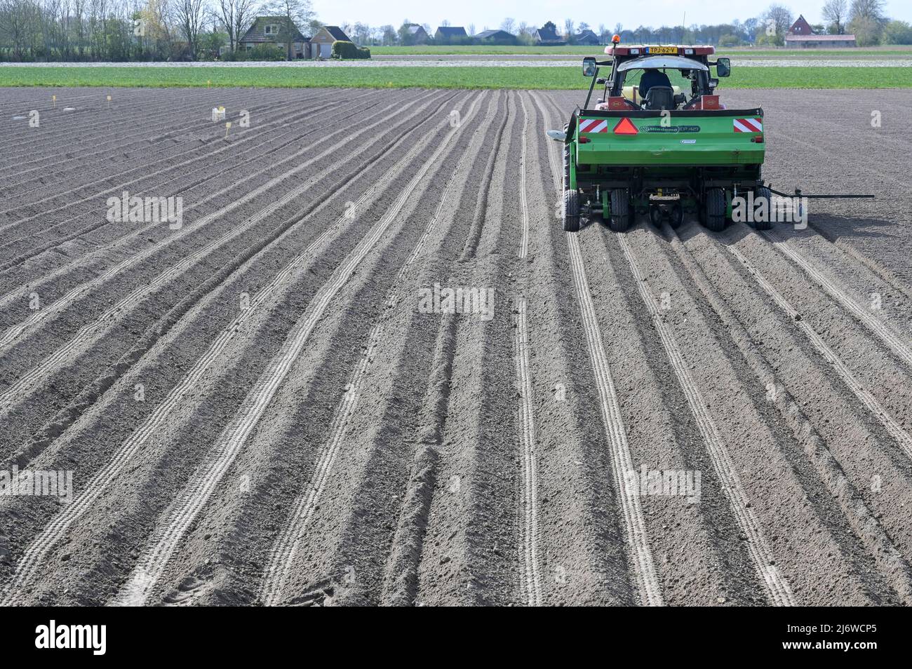 PAESI BASSI, Frisia, allevamento di patate, semina su campi asciutti / NIEDERLANDE, Friesland, Ackerbau, Kartoffel Aussaat, Dürre durch Mangel von Niederschlägen Foto Stock
