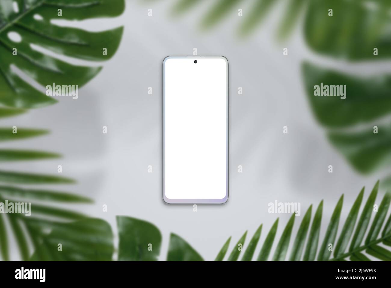 Telefono mockup su una superficie grigia circondata da verdi fronde. Vista dall'alto, composizione di giacitura piatta Foto Stock