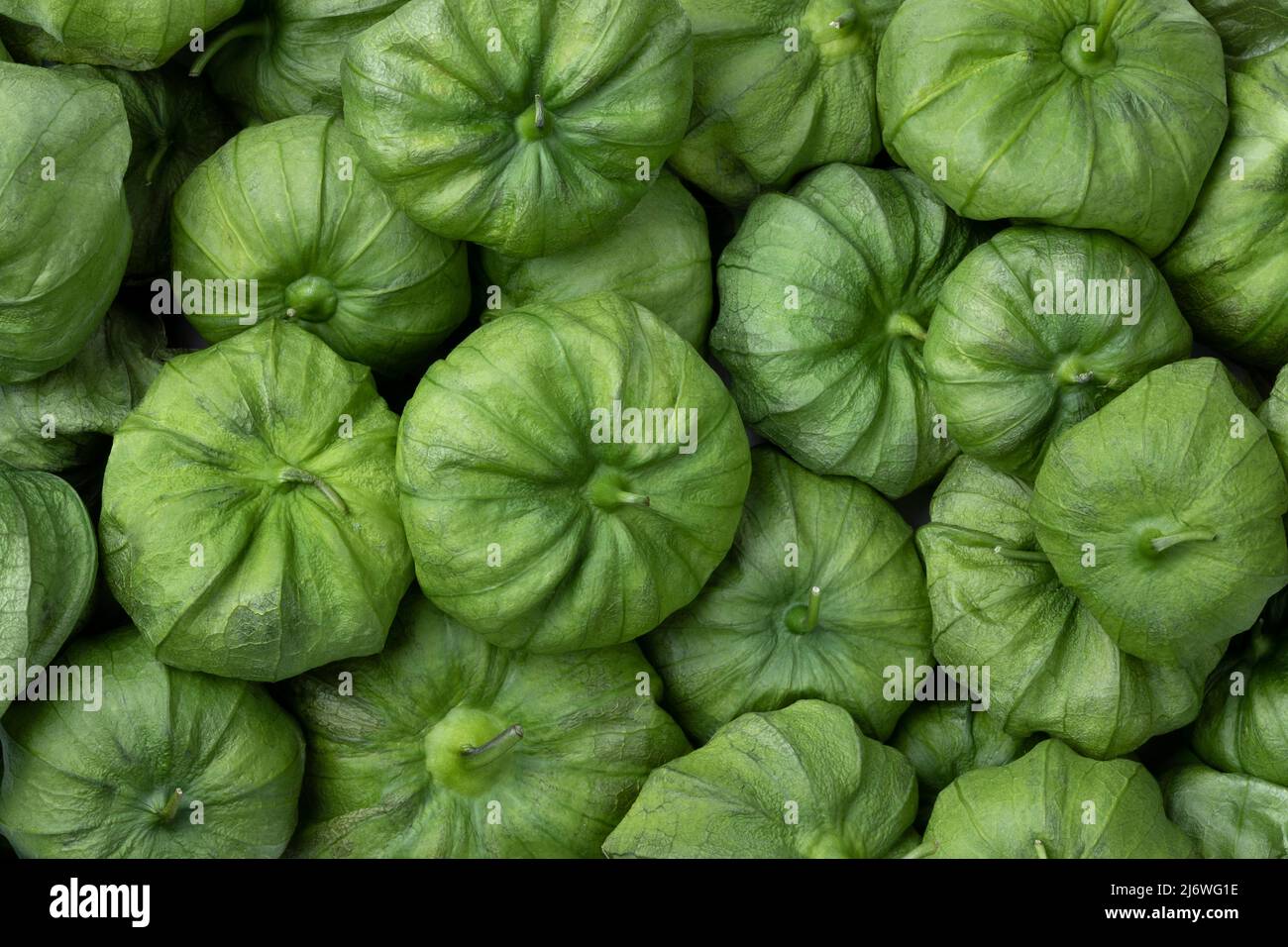Tomatillo verde fresco in un buccia primo piano su full frame come sfondo Foto Stock