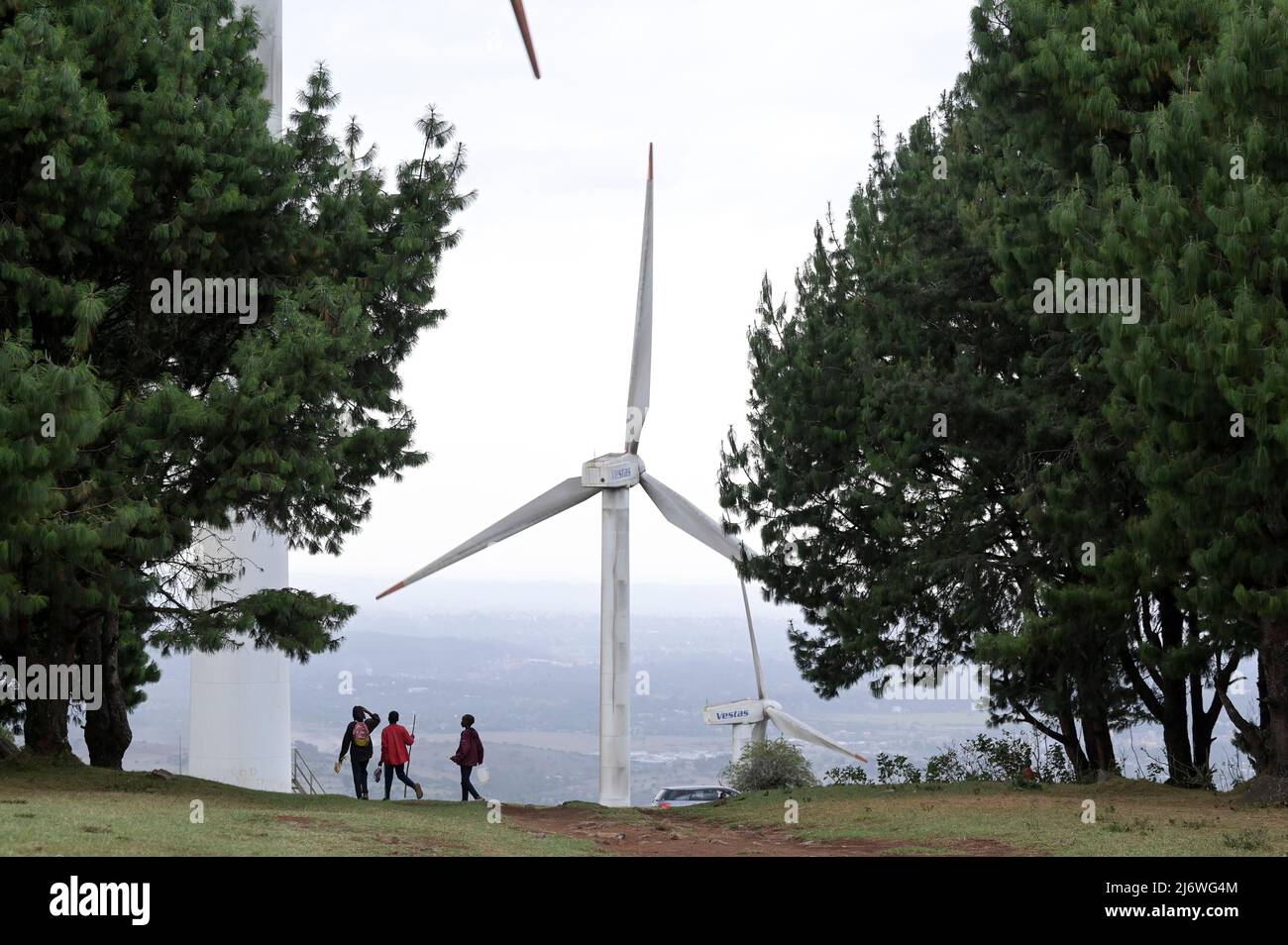 KENYA, Nairobi, Ngong Hills, Vestas Wind Turbines Windfarm/ KENIA, Nairobi, Ngong Hills, Windpark mit Vestas Windkraftanlagen Foto Stock