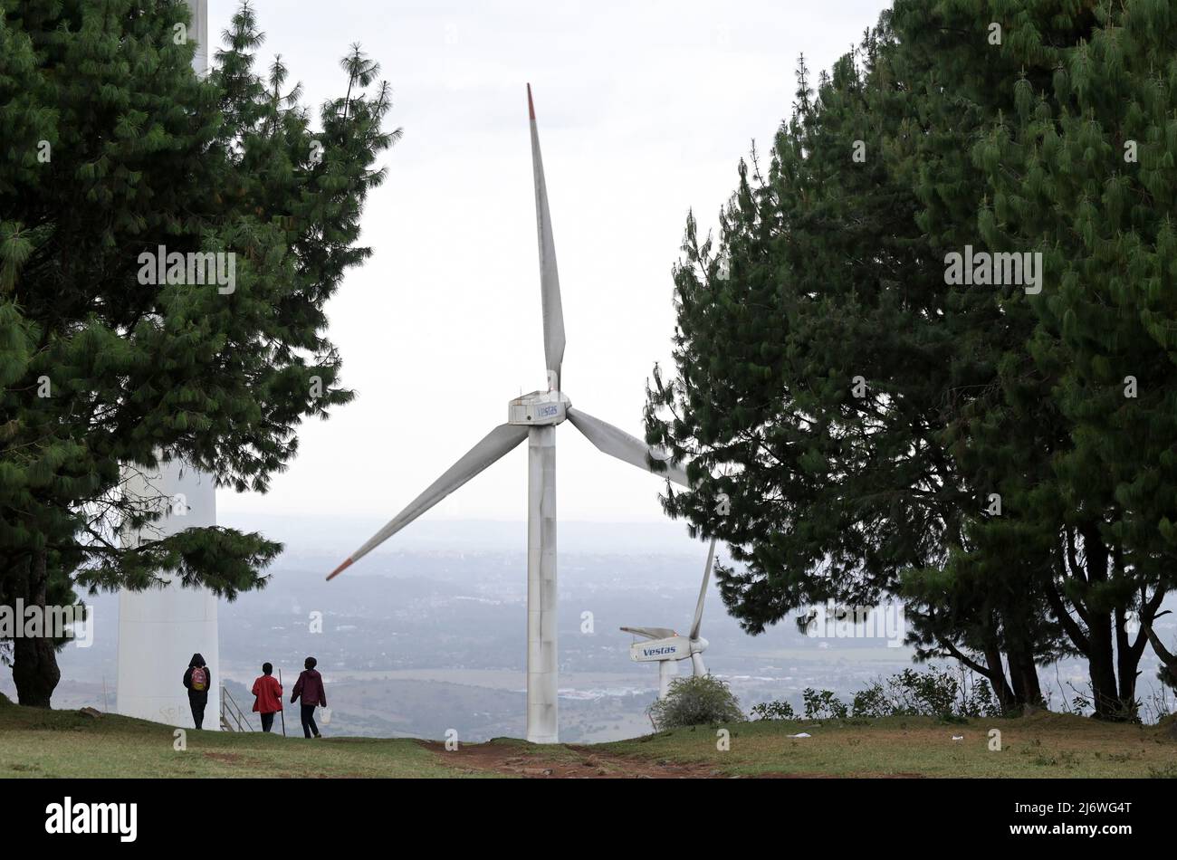 KENYA, Nairobi, Ngong Hills, Vestas Wind Turbines Windfarm/ KENIA, Nairobi, Ngong Hills, Windpark mit Vestas Windkraftanlagen Foto Stock