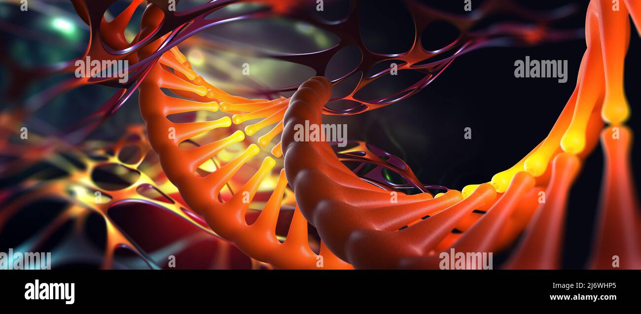 Elica del DNA. Ricerca scientifica. Decodifica del genoma e innovazione medica. 3D illustrazione di una molecola di DNA al microscopio Foto Stock