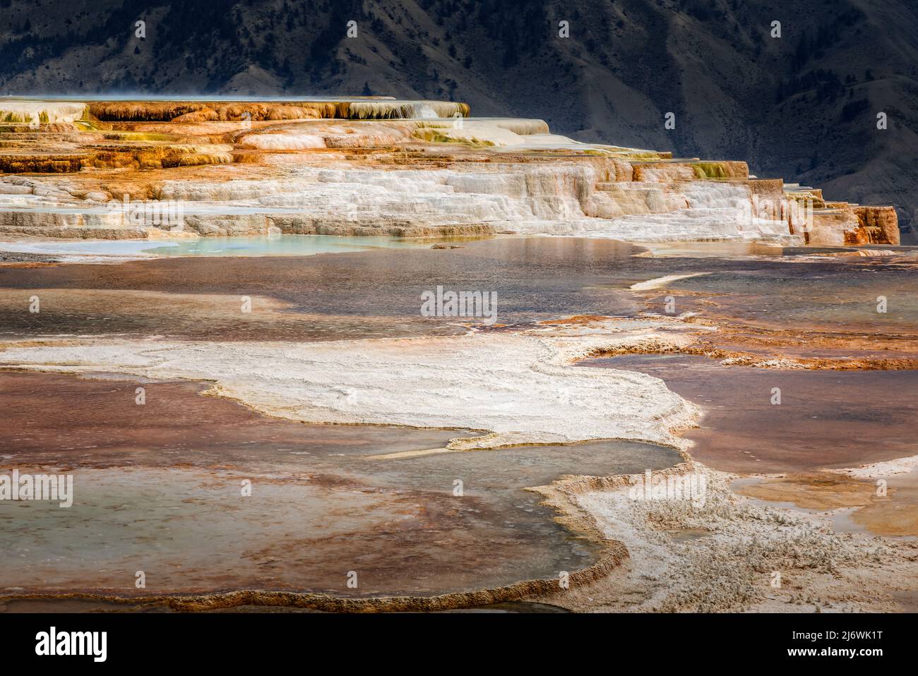 Le terrazze di Mammoth Hot Springs, Yellowstone National Park, Wyoming Foto Stock