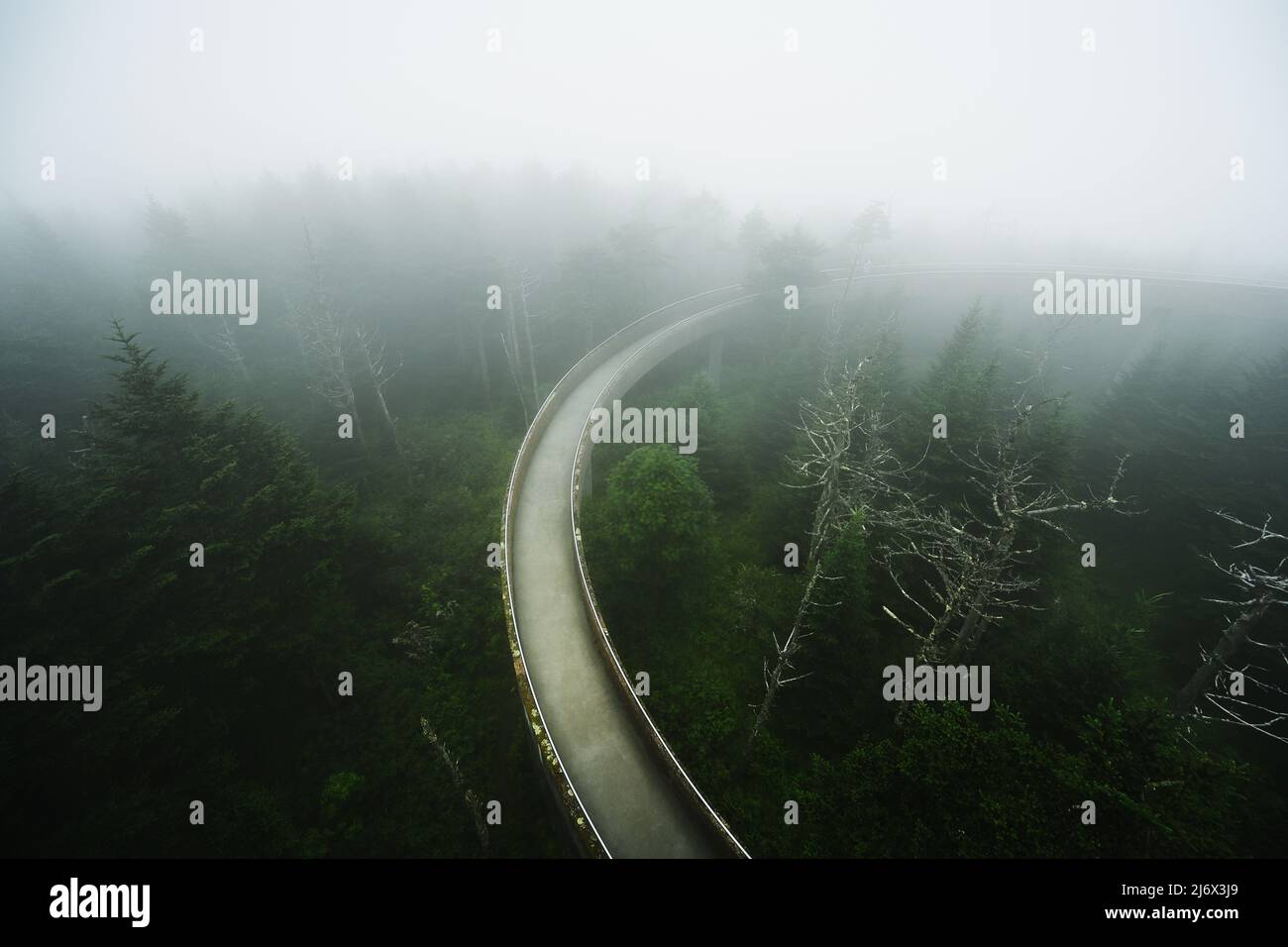 Percorso verso la torre di osservazione delle montagne fumose, lo Smoky Mountain National Park, Tennessee, Stati Uniti Foto Stock