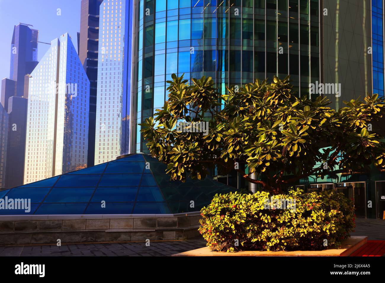 Dynamik, Dubai, Wolkenkratzer, , moderne Architektur, Atemberaubende Aussicht auf die Skyline mit Hochhäuser, Skyscraper, Alberghi in Finanzzentrum Foto Stock