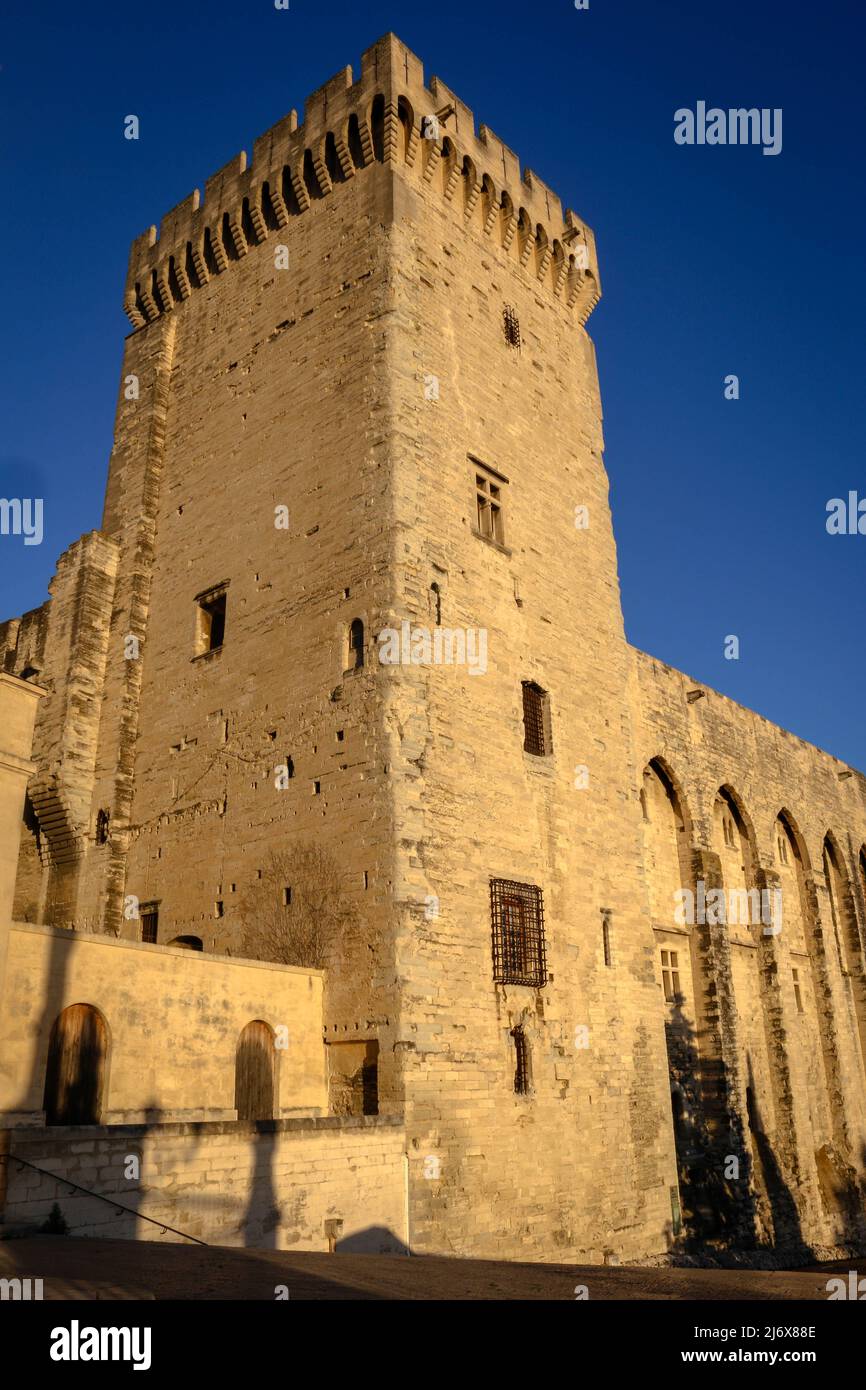 Il Palais des Papes, un palazzo storico nella città di Avignone, Francia Foto Stock