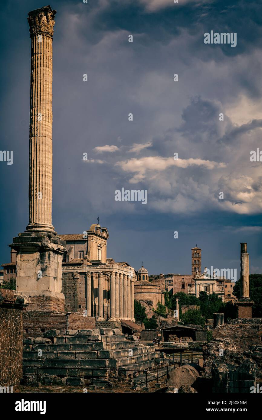 Roma, Italia, Seppia tenne l'antico Foro Romano con colonna di Foca e Tempio di Antonino e Faustina. Foto Stock