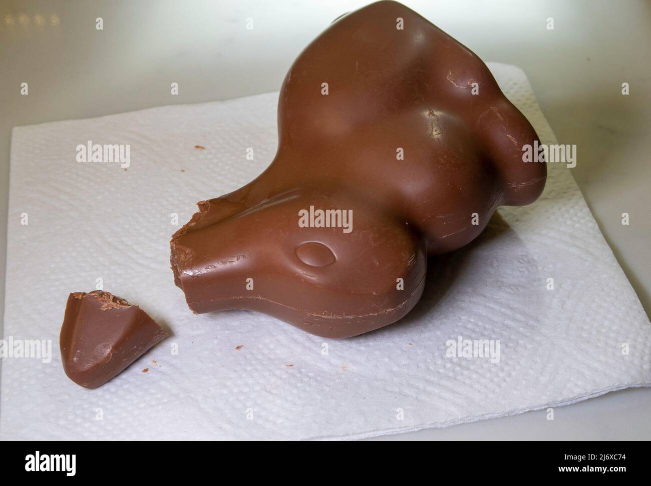 Cioccolato al latte Lindt Easter Bunny Candy con orecchie mangiate, 2022, USA Foto Stock