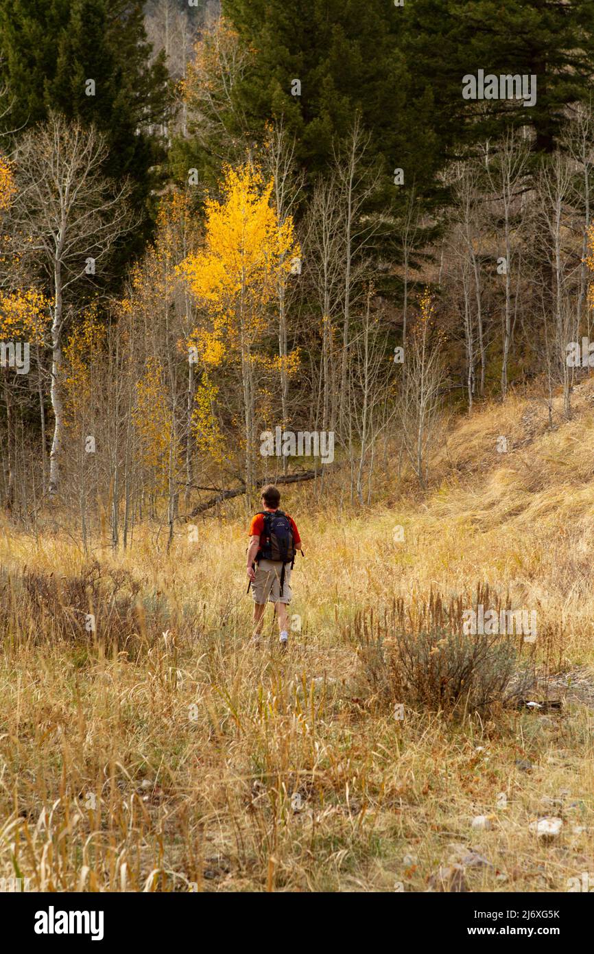 Uomo in pantaloncini con escursioni a piedi in un giorno d'autunno nella zona di Hemingway Boulders Wilderness della Sawtooth National Forest, Idaho, USA. Foto Stock